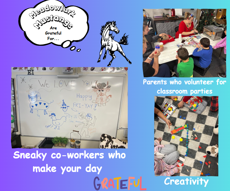 MDLK mustangs are grateful for..... see flyer for additional info