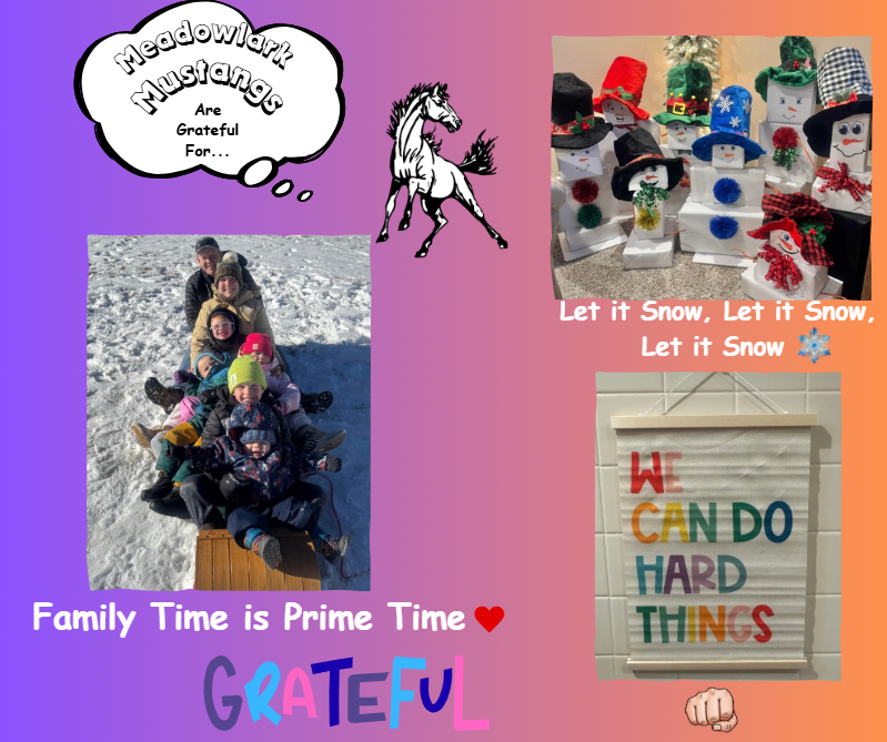 MDLK mustangs are grateful for..... see flyer for additional info