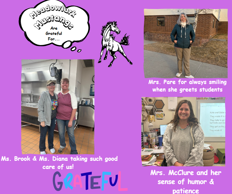 MDLK mustangs are grateful for..... see flyer for additional info