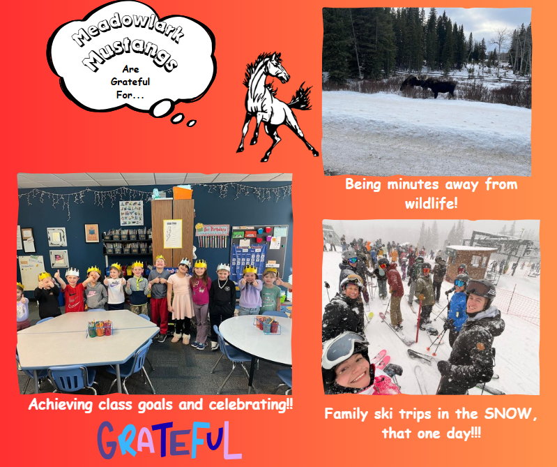 MDLK mustangs are grateful for..... see flyer for additional info