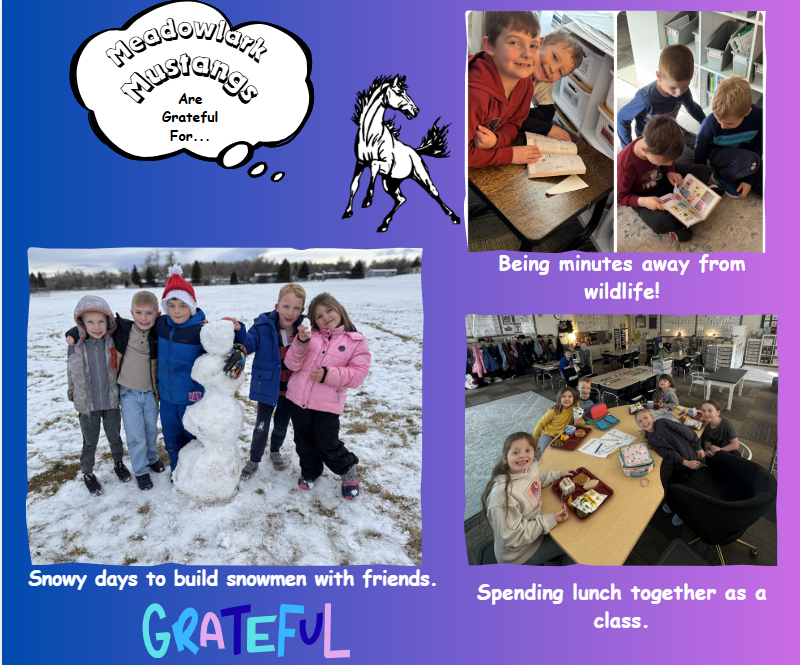 MDLK mustangs are grateful for..... see flyer for additional info