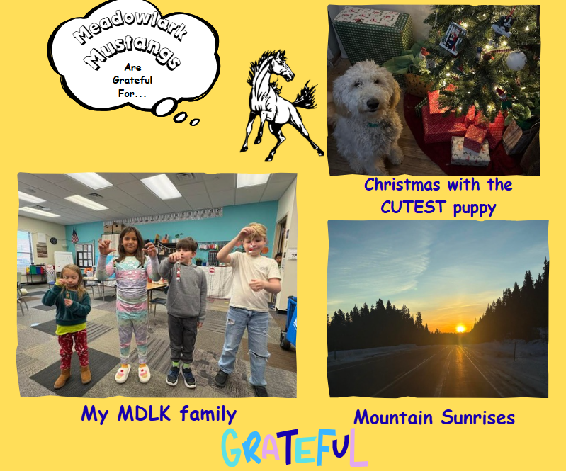 MDLK mustangs are grateful for..... see flyer for additional info
