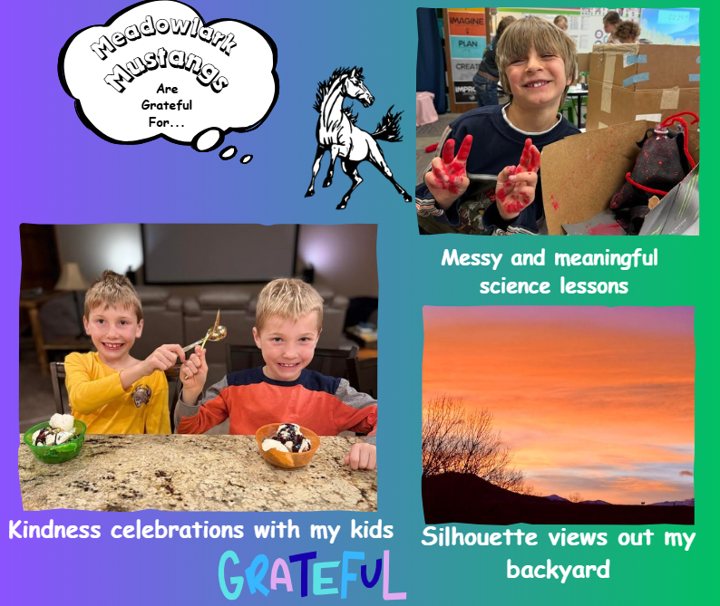 MDLK mustangs are grateful for..... see flyer for additional info