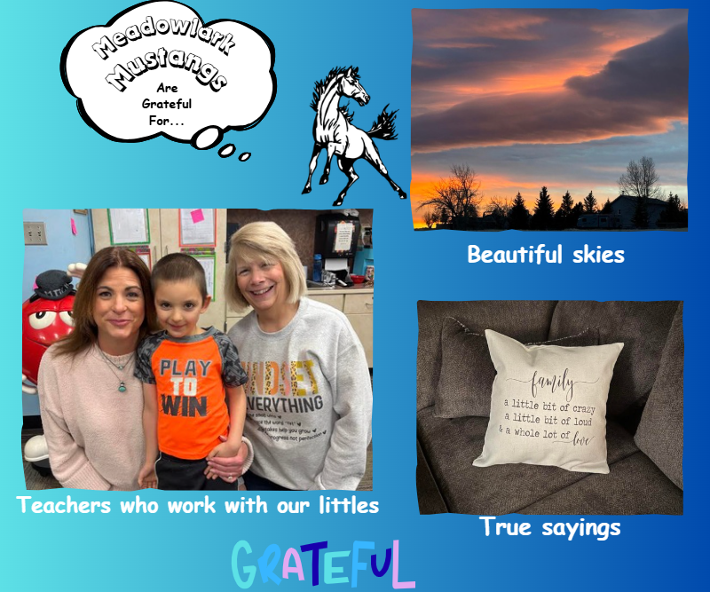 MDLK mustangs are grateful for..... see flyer for additional info