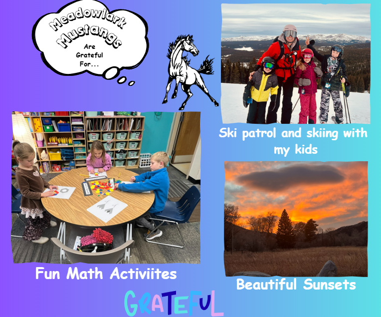 MDLK mustangs are grateful for..... see flyer for additional info