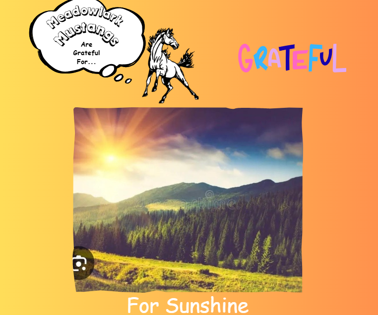 MDLK mustangs are grateful for..... see flyer for additional info