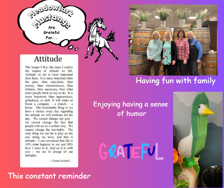 MDLK mustangs are grateful for..... see flyer for additional info