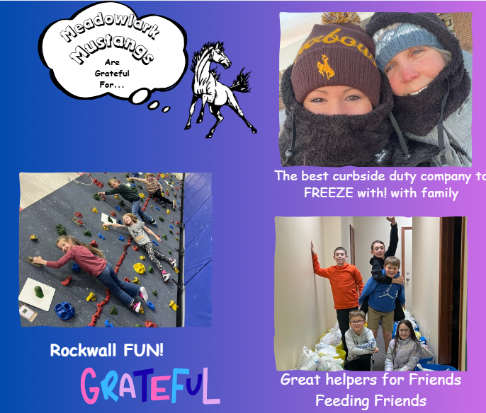 MDLK mustangs are grateful for..... see flyer for additional info