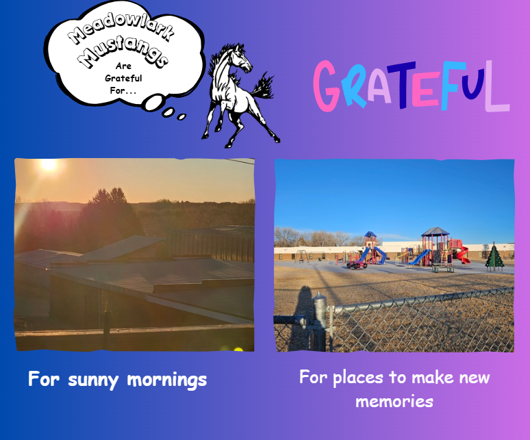 MDLK mustangs are grateful for..... see flyer for additional info