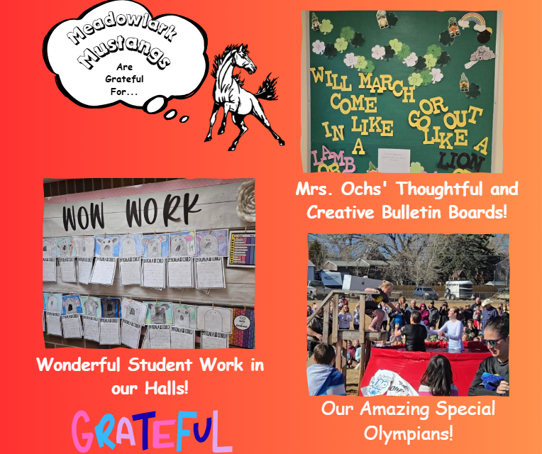 MDLK mustangs are grateful for..... see flyer for additional info