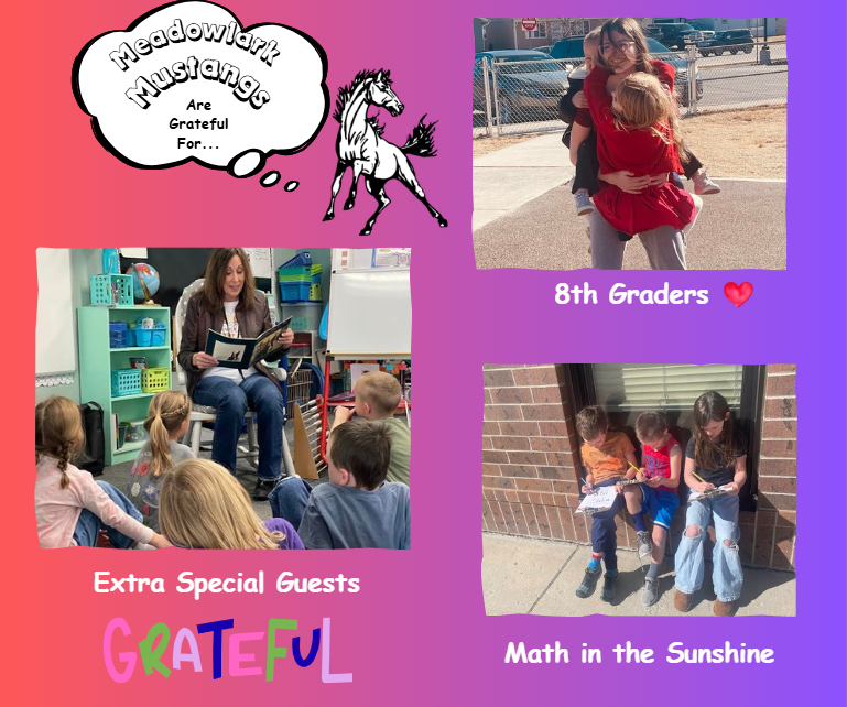 MDLK mustangs are grateful for..... see flyer for additional info