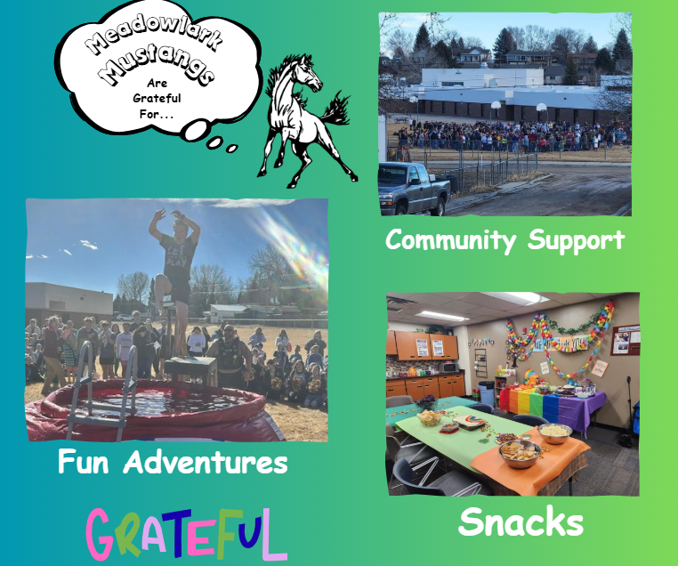 MDLK mustangs are grateful for..... see flyer for additional info