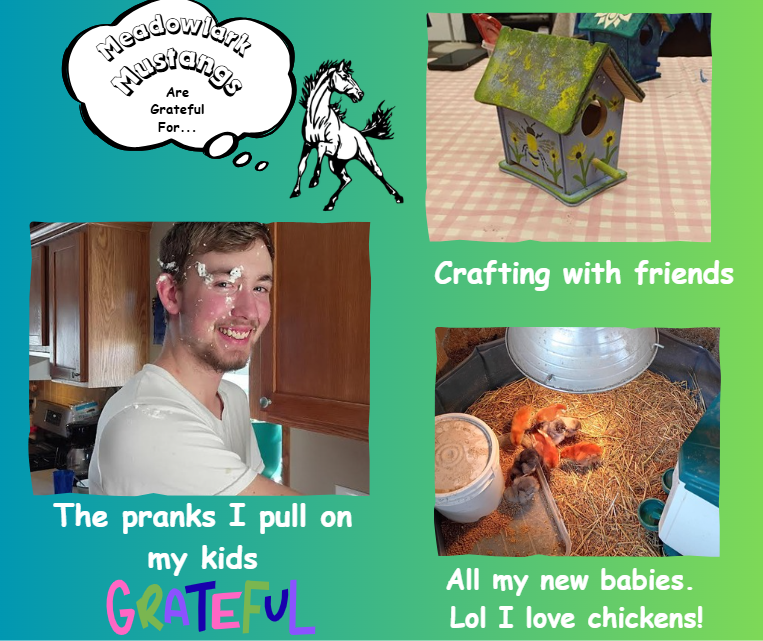 MDLK Mustangs are grateful for.... See flyer for additional info