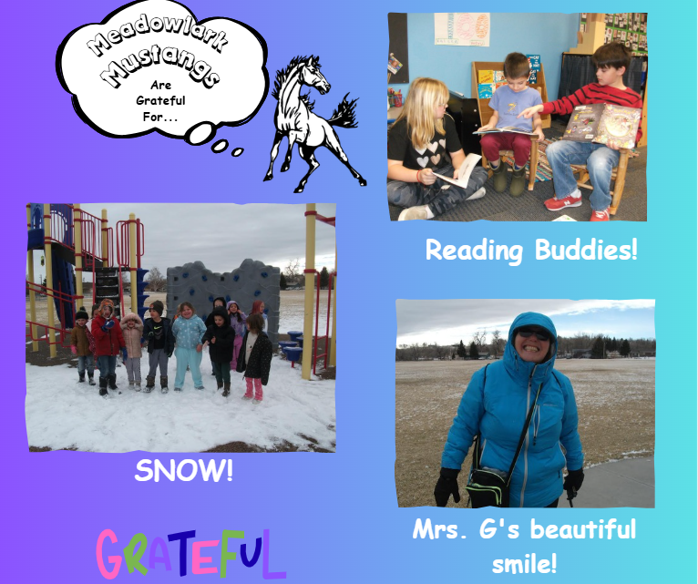 MDLK mustangs are grateful for..... see flyer for additional info