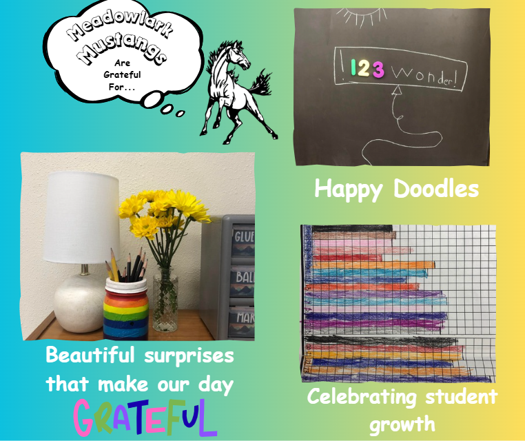 MDLK mustangs are grateful for..... see flyer for additional info