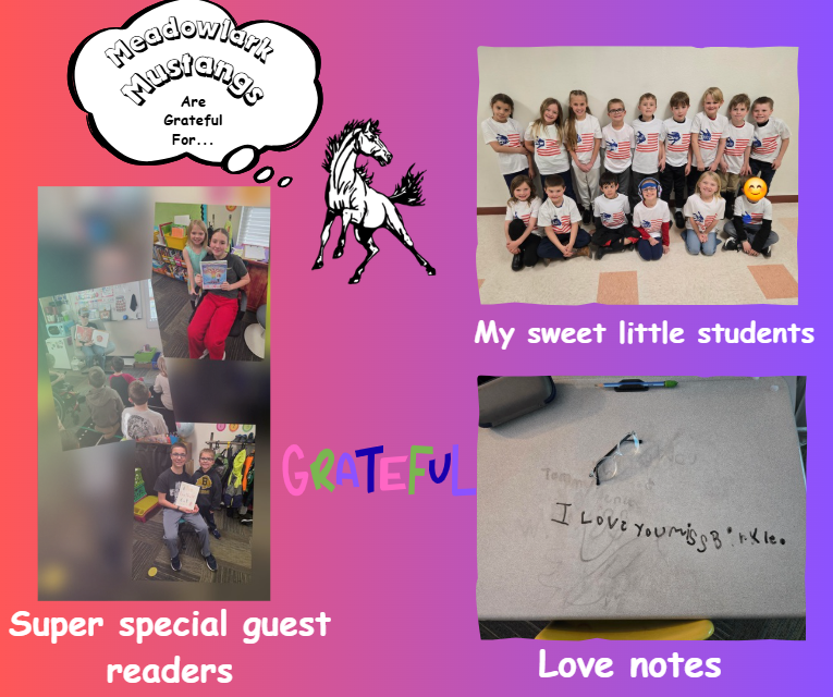 MDLK mustangs are grateful for..... see flyer for additional info