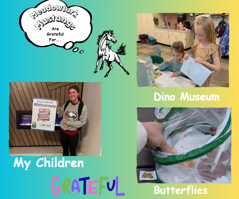 MDLK mustangs are grateful for..... see flyer for additional info