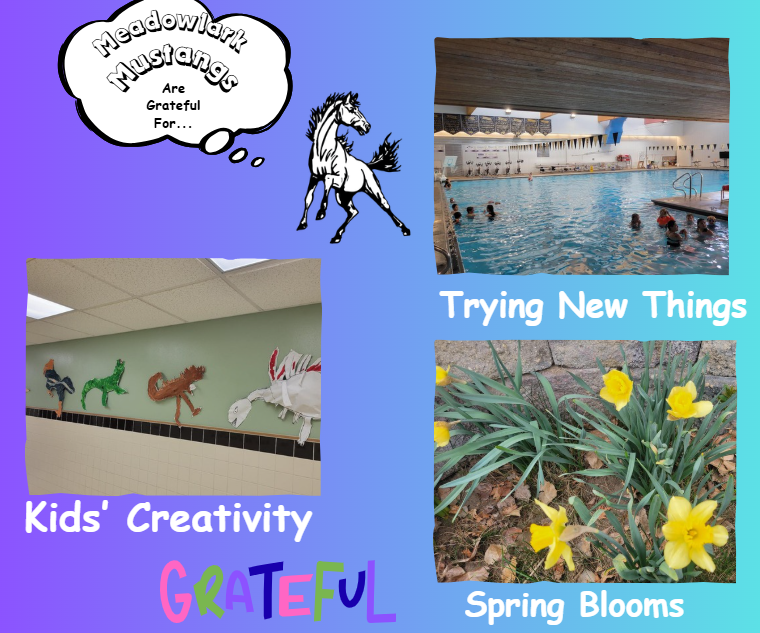 MDLK mustangs are grateful for..... see flyer for additional info