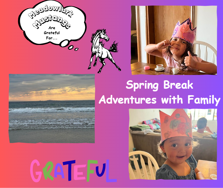 MDLK mustangs are grateful for..... see flyer for additional info