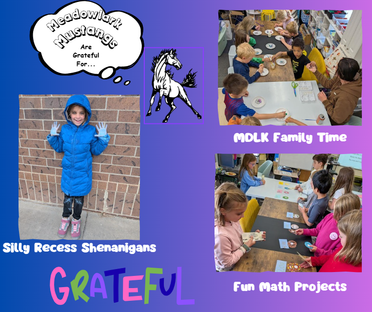 MDLK mustangs are grateful for..... see flyer for additional info