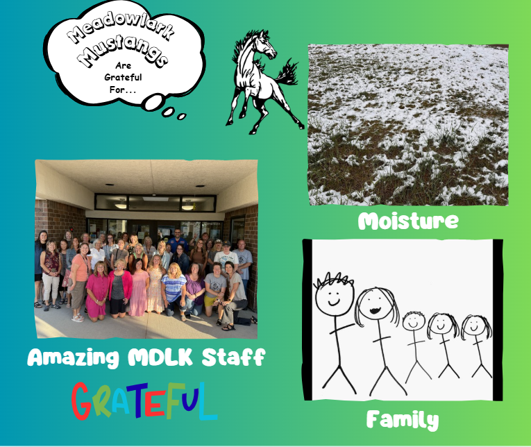 MDLK mustangs are grateful for..... see flyer for additional info