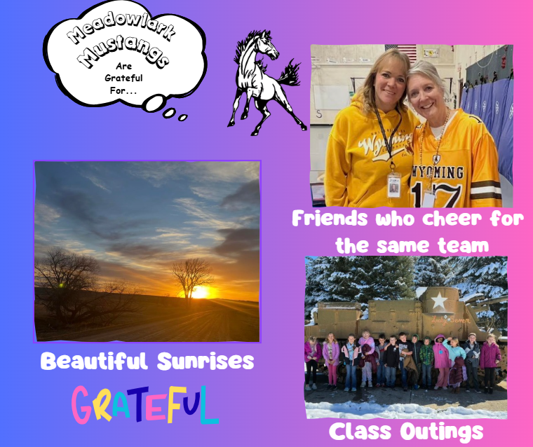 MDLK mustangs are grateful for..... see flyer for additional info
