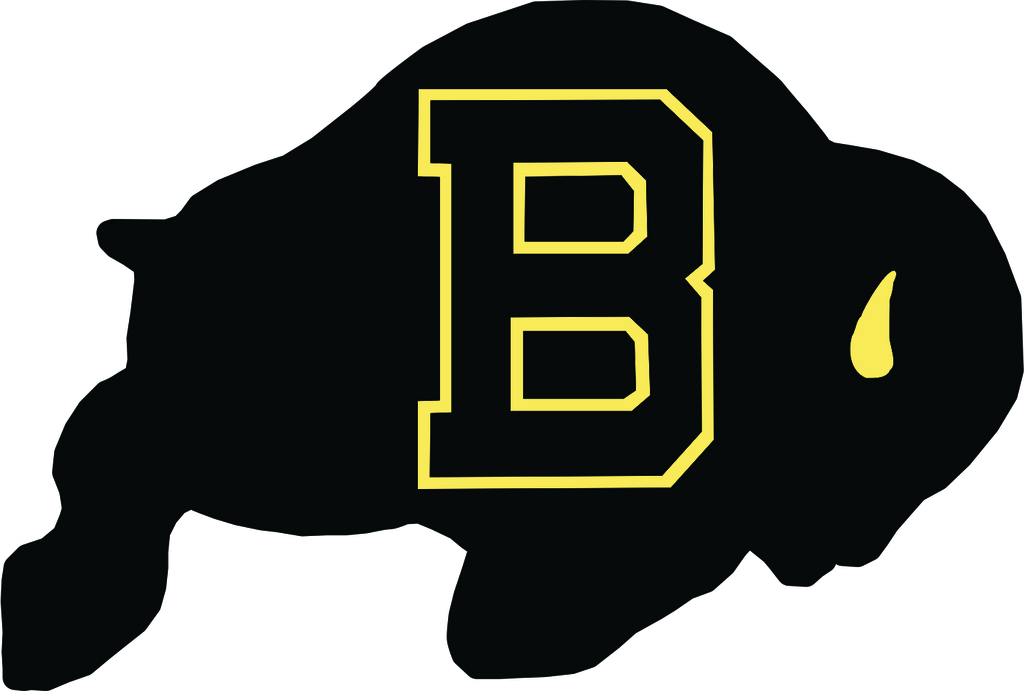 Bison