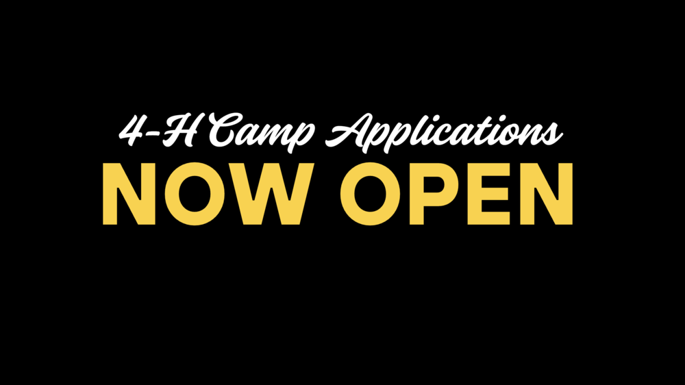 4-H Camp