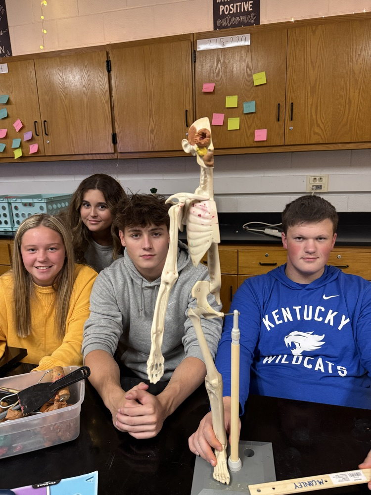 groups with models