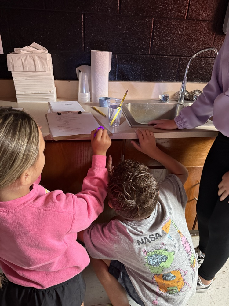 light investigations