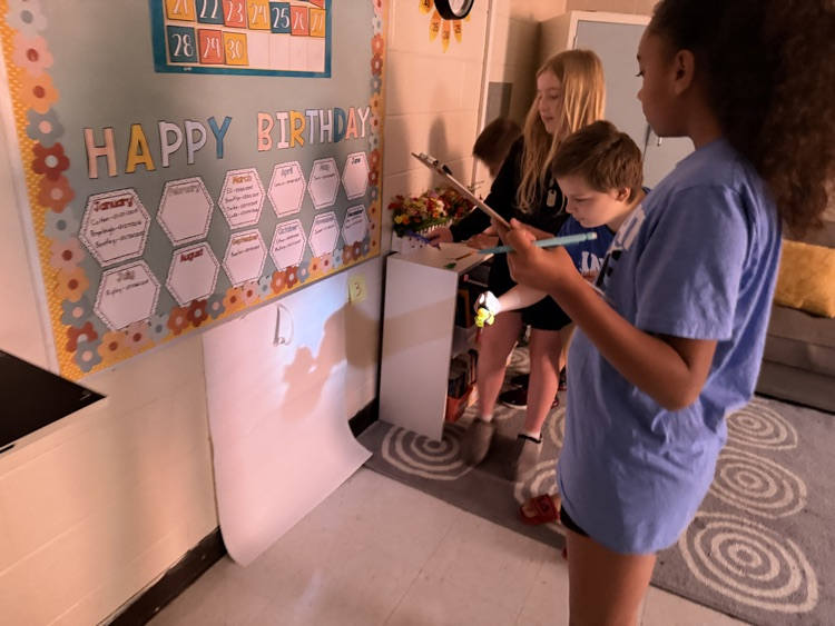 light investigations