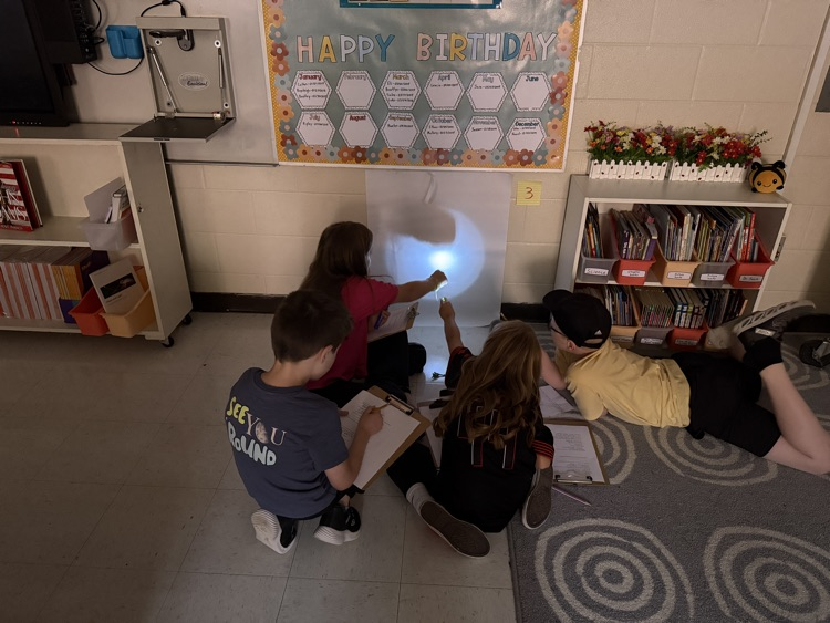 light investigations