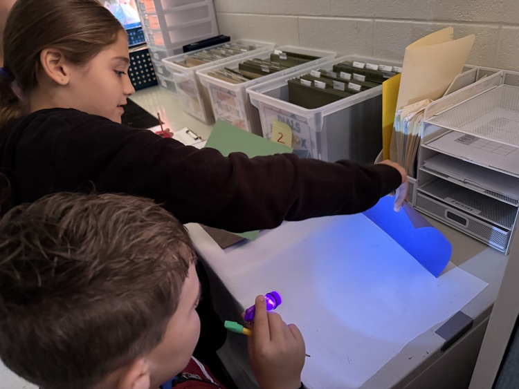 light investigations