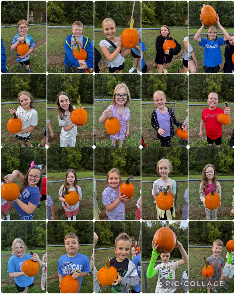 Field day