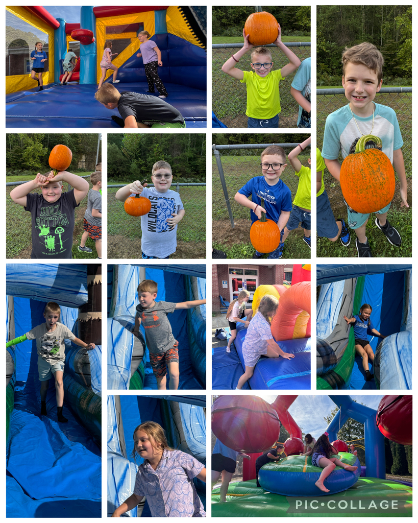 Field day