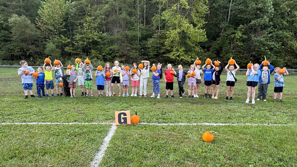 Field day