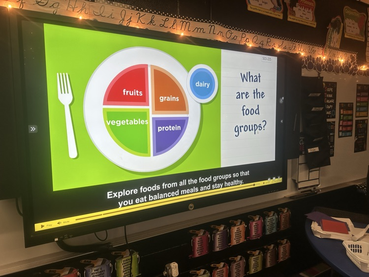 Food Groups