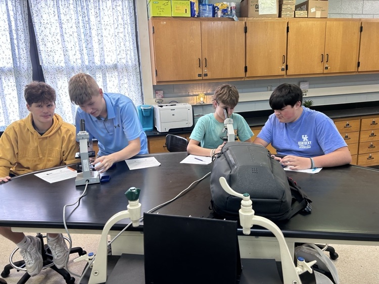 learning to use a microscope