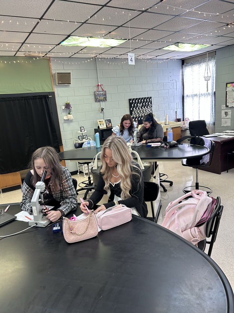 learning to use a microscope