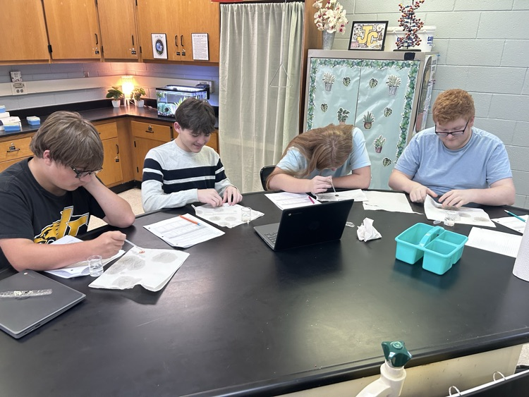 surface tension lab
