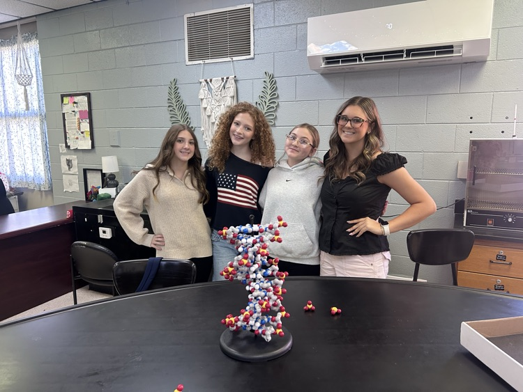 Building DNA