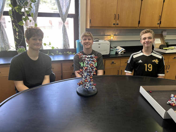 Building DNA