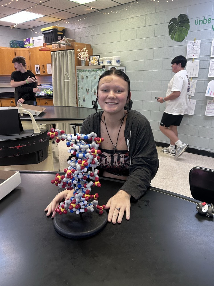 Building DNA