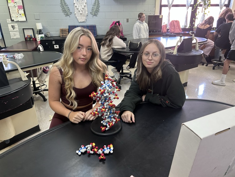 Building DNA