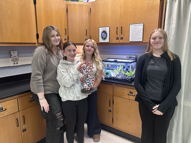 Building DNA