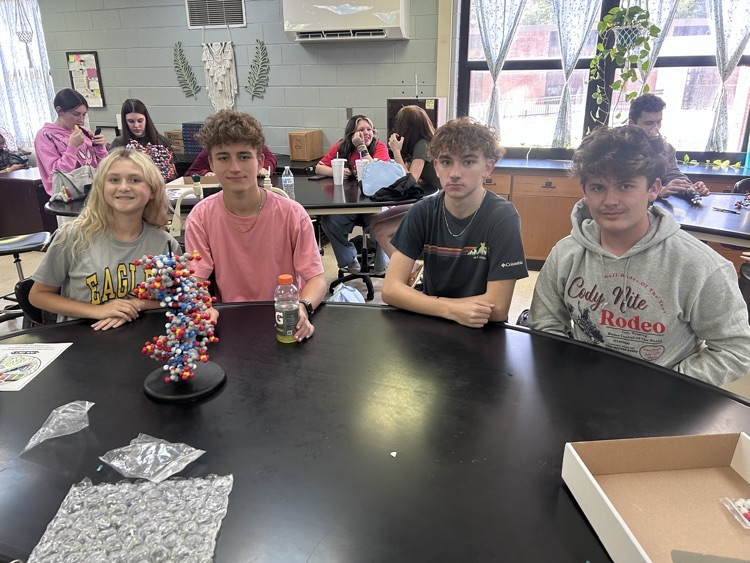 Building DNA