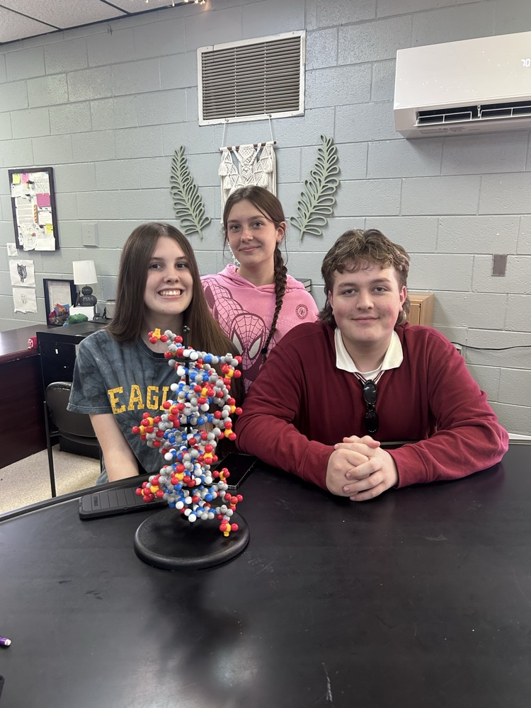 Building DNA