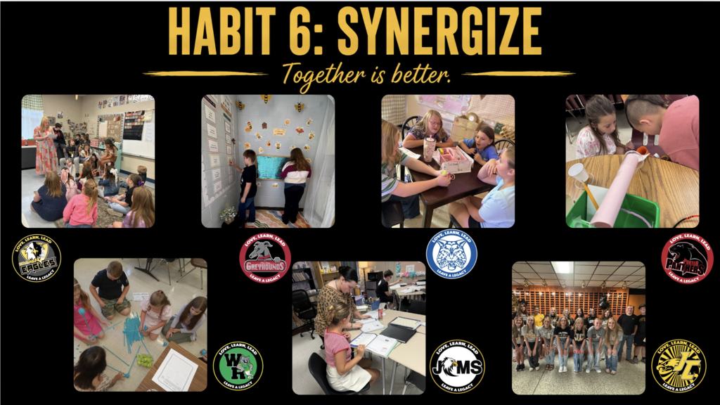 Habit 6: Synergize