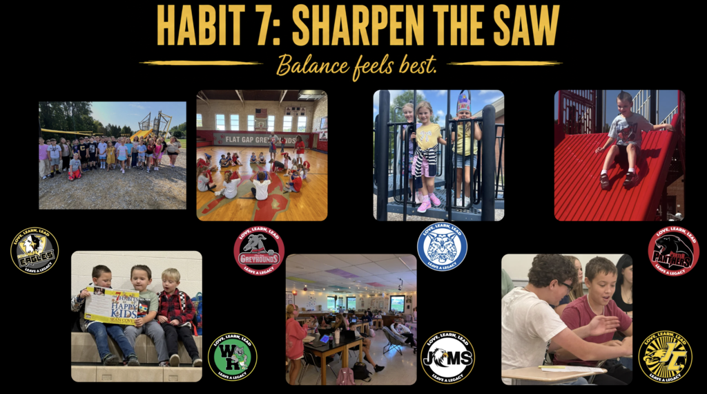 Habit 7: Sharpen the Saw