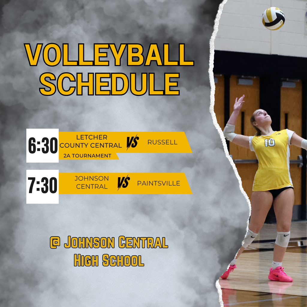 volleyball games